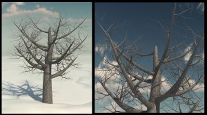 مدل سه بعدی درخت بی‌برگ نارون قرمز Dead Elm Tree
