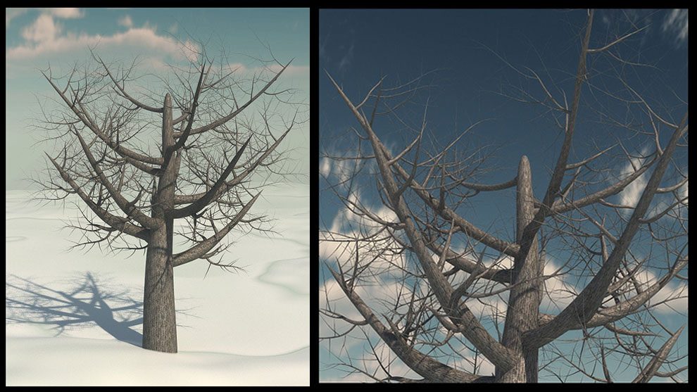 مدل سه بعدی درخت بیبرگ نارون قرمز Dead Elm Tree