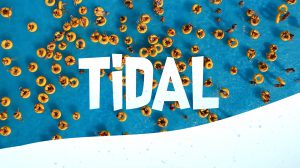 مجموعه ویدیوی موشن گرافیک ترانزیشن Tidal Fun Video Transitions