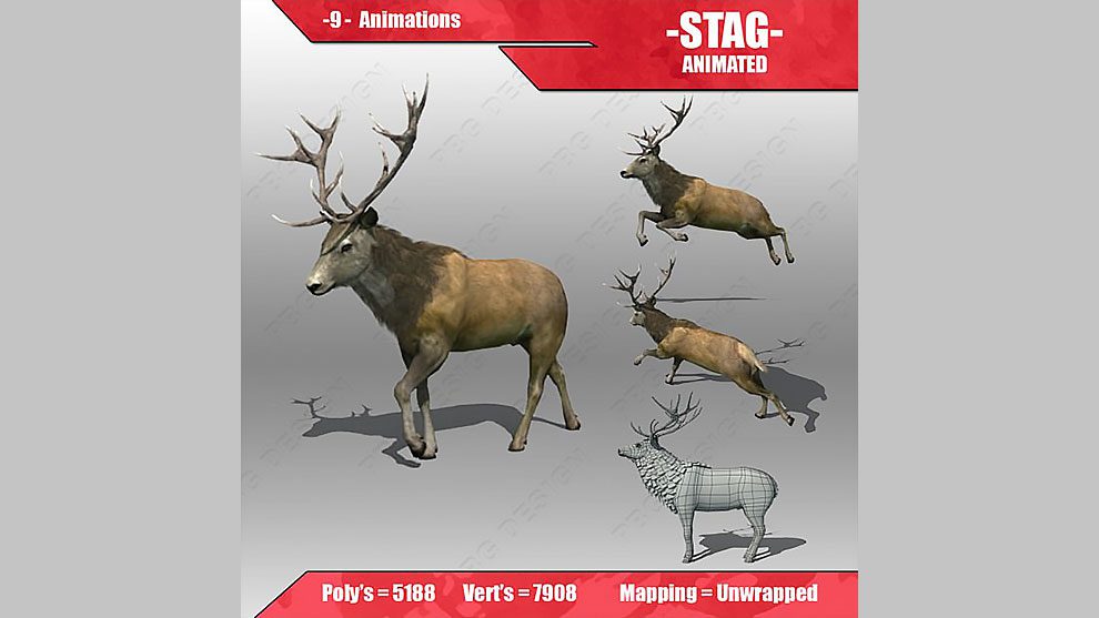 مدل و انیمیشن سه بعدی گوزن Stag Animated