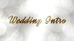 پروژه افترافکت اینترو عروسی Wedding Intro