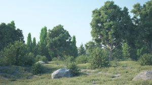 پلاگین سینمافوردی 3DQuakers Forester ابزار ساخت محیط طبیعی و جنگل