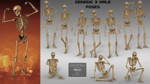 مجموعه مدل سه بعدی اسکلت Midnight Skeleton Genesis 3 Bundle