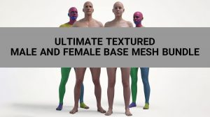 مجموعه مدل سه بعدی بدن زن و مرد Ultimate Base Mesh Bundle