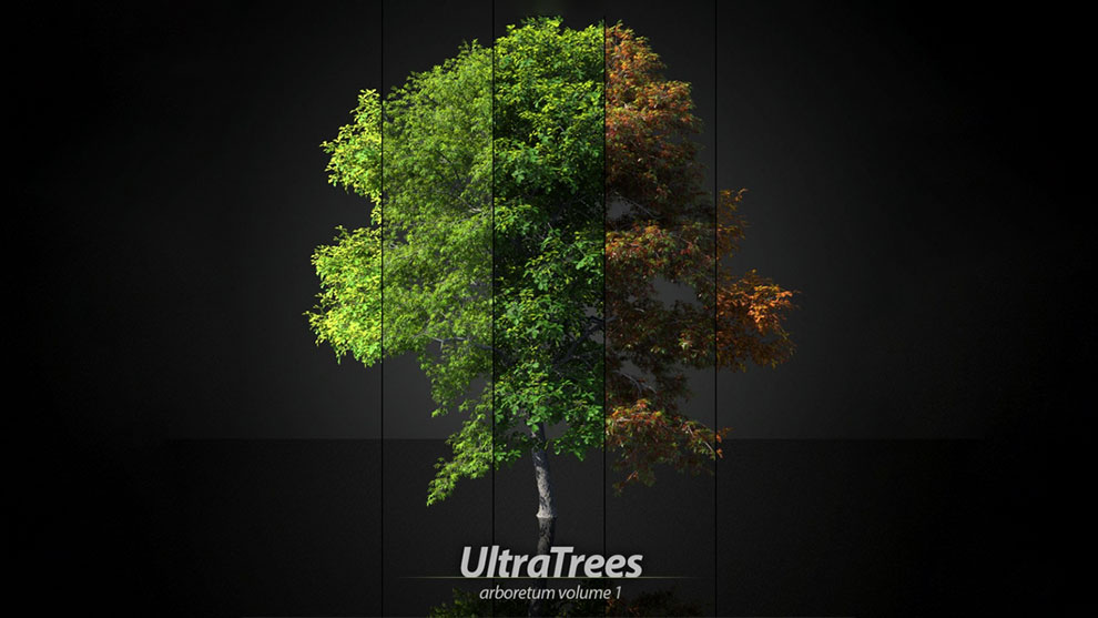 مجموعه مدل سه بعدی درخت Ultratrees Arboretum 1