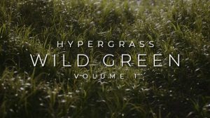 مجموعه مدل سه بعدی علف و چمن Vertex Library Hypergrass