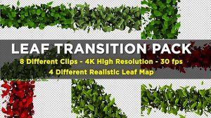 مجموعه فوتیج ترانزیشن برگ Leaf Transition Pack