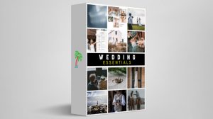 مجموعه فوتیج ضروریات ویدیو عروسی Wedding Essentials