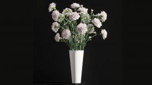 مدل سه بعدی گلدان Carnation 2