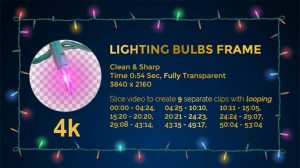 مجموعه فوتیج قاب چراغ های تزیینی Lighting Bulbs Wire Frame