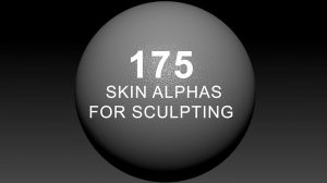 مجموعه تصاویر آلفا پوست برای اسکالپت Skin Alphas for Sculpting