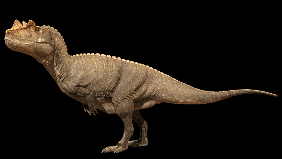 مدل سه بعدی دایناسور Ceratosaurus