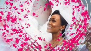 مجموعه فوتیج ترانزیشن عروسی Wedding Transitions