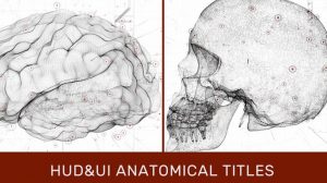 پروژه افترافکت نمایش عناوین با اجزای آناتومی بدن HUD UI Anatomical Titles