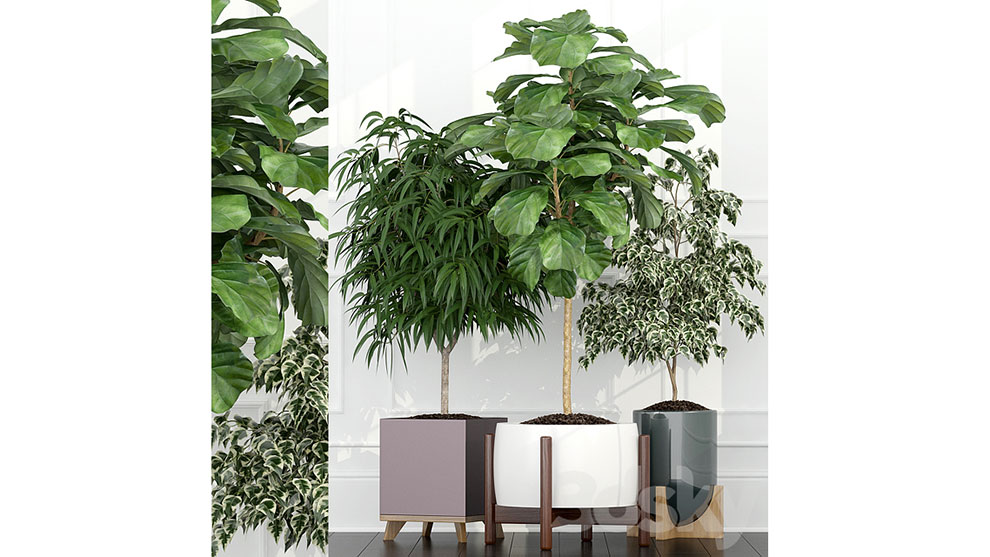 مجموعه مدل سه بعدی گلدان Plants Collection 67