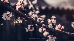 پروژه افترافکت مجموعه اسلاید مدرن Clean Modern Slides 3