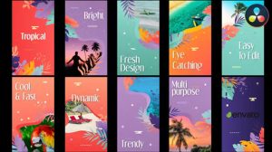 پروژه داوینچی مجموعه استوری اسلایدشو Tropical Stories Slideshow