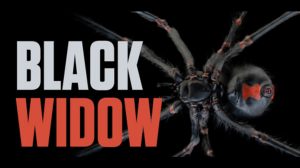 آموزش مدلسازی و انیمیشن عنکبوت در سینمافوردی Spider in Cinema 4D