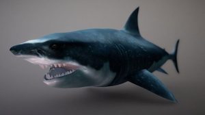 مدل سه بعدی کوسه Shark