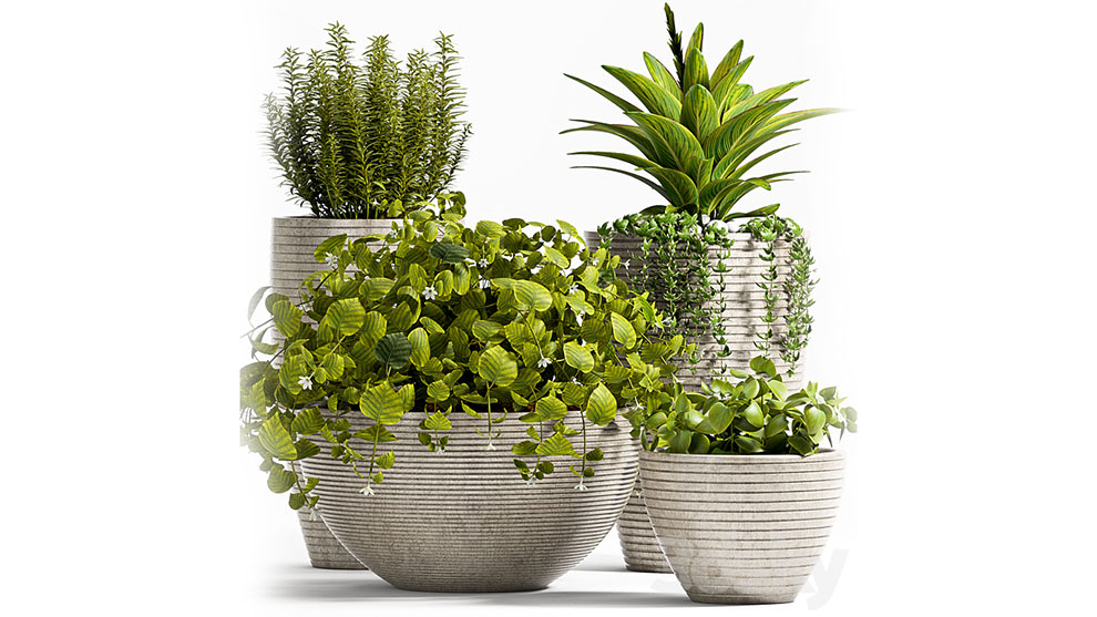 مجموعه مدل سه بعدی گلدان Plants 57