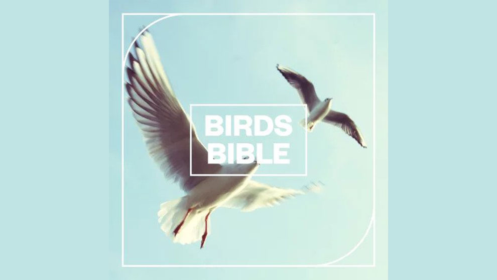 مجموعه افکت صوتی پرندگان Birds Bible