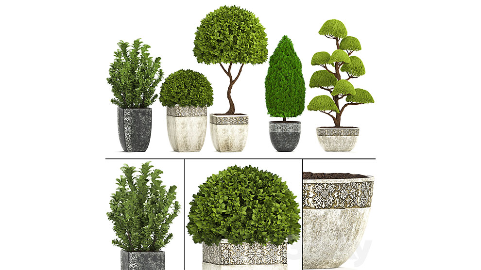 مجموعه مدل سه بعدی گلدان Plant Collection 239