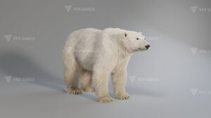 مدل سه بعدی خرس قطبی Polar Bear