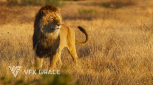 مدل سه بعدی شیر نر Lion Animation