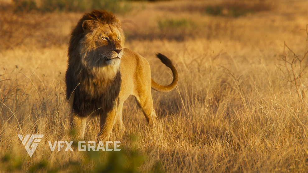 مدل سه بعدی شیر نر Lion Animation