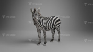 مدل سه بعدی گورخر Zebra Animation