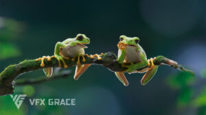 مدل سه بعدی قورباغه درختی Tree Frog Animated