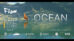 افزونه بلندر Physical Open Waters