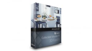 مجموعه مدل سه بعدی غذا CGAxis Models 71 Food V