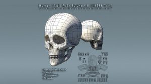 مدل سه بعدی جمجمه انسان Human Skull Polygon Mesh